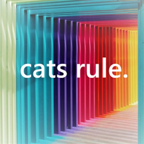 cats rule.