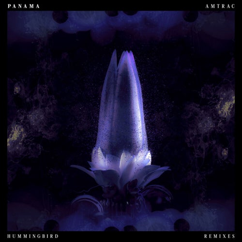 Hummingbird (Remixes)