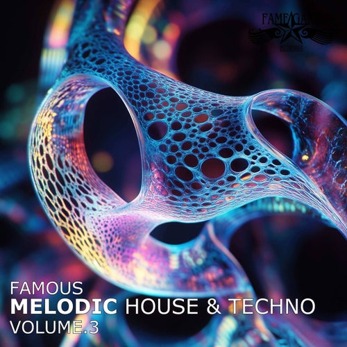 Famous Melodic House & Techno, Vol. 3 (2025) - Techno (Peak Time / Driving),Minimal / Deep Tech,Techno (Raw / Deep / Hypnotic),Deep House