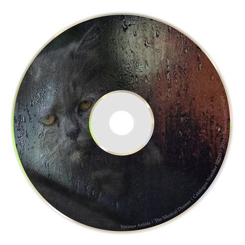 Cover art for The Musical Drawer