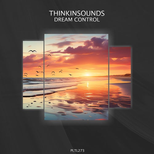  thinkinsounds - Dream Control (2024) 