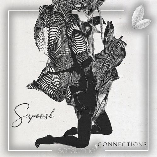 Cover art for Connections