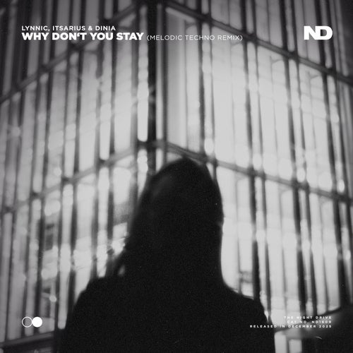 Why Don't You Stay (Melodic Techno Remix)