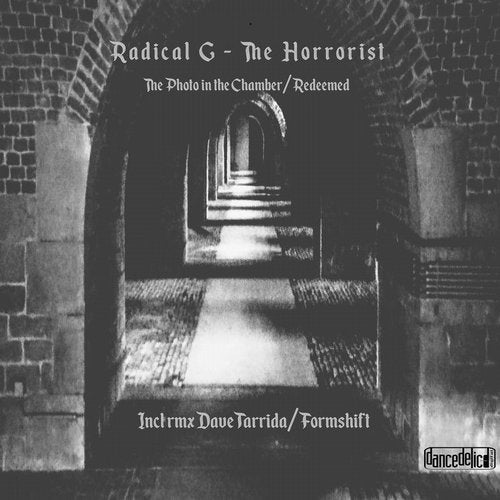 Cover art for The Photo in the Chamber