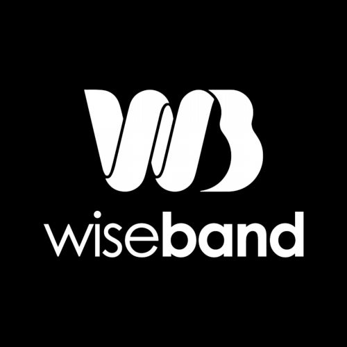 Wiseband