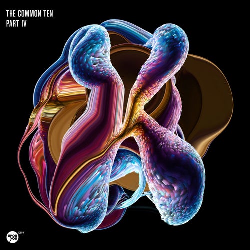 The Common Ten Part 4