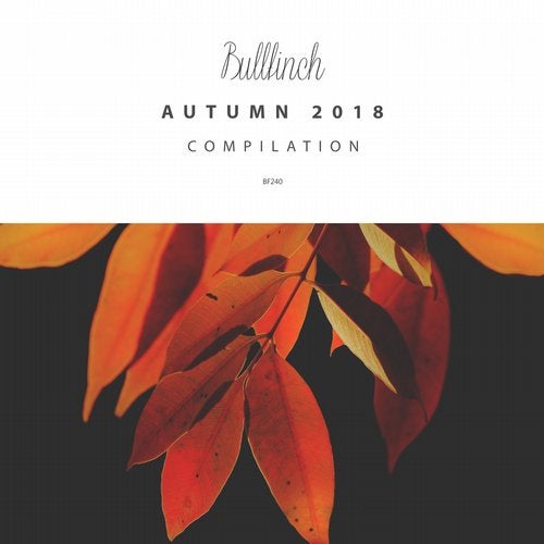 Cover art for Bullfinch Autumn 2018 Compilation
