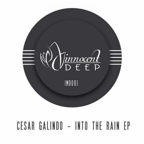 Into The Rain EP