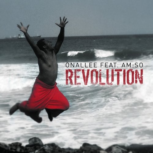 Cover art for Revolution