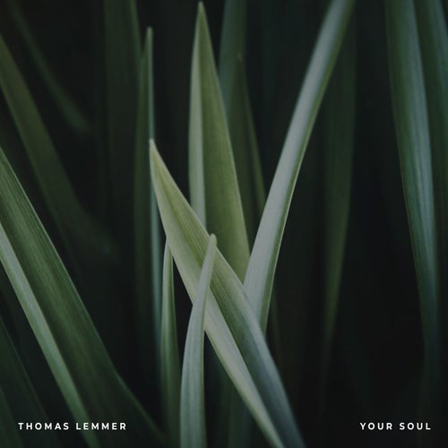 Your Soul