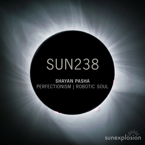 Perfectionism | Robotic Soul