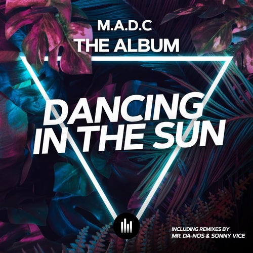Dancing in the Sun (The Album)