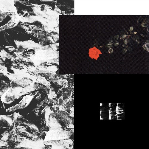 Prime EP