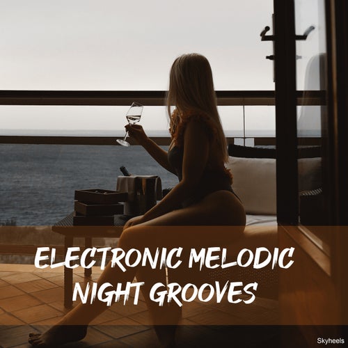 Cover art for Electronic Melodic Night Grooves