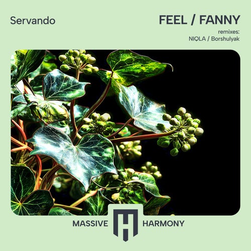 Fanny - Feel