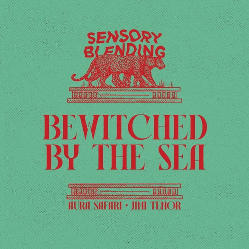 Bewitched by the Sea