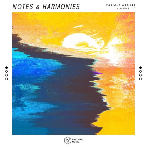 VA - Notes & Harmonies Vol 17 [VOLTCOMP1282]