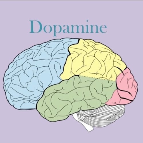 Dopamine Dose