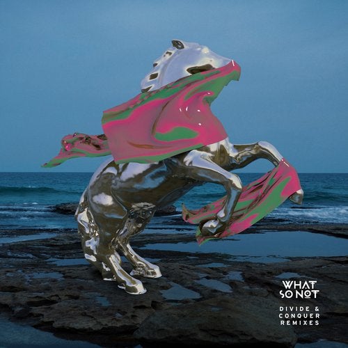 Cover art for Divide & Conquer (Remixes)
