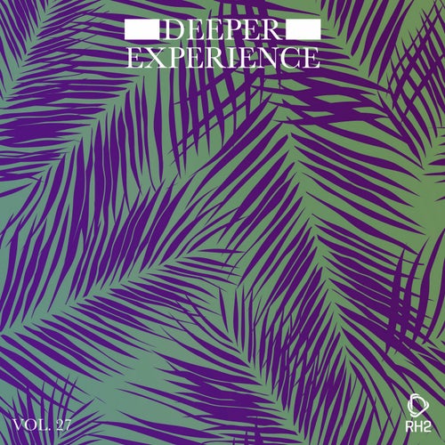 Deeper Experience Vol. 27