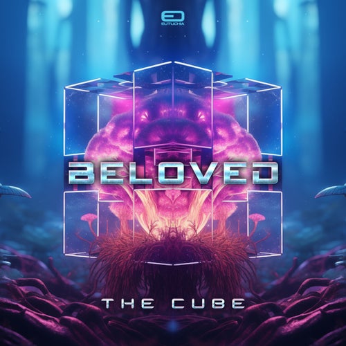  Beloved - The Cube (2024) 