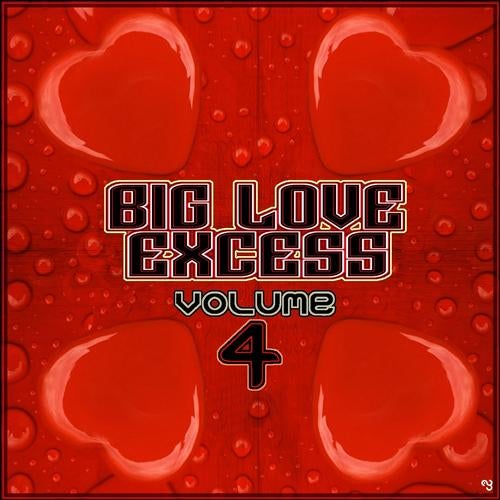 Big Love Excess, Vol.4 (Big Loving House Tracks)