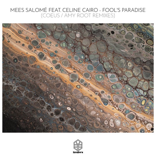Cover art for Fool's Paradise - Coeus / Amy Root Remixes