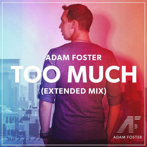 Too Much (Extended Mix)