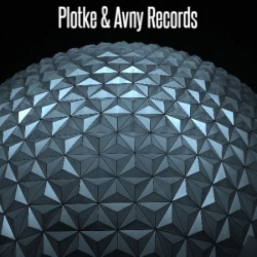 Plotke & Avny Records