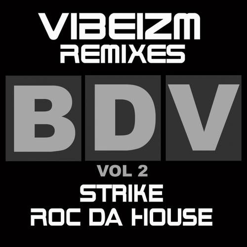 Remixes EP 2 (Strike / Roc Da House)