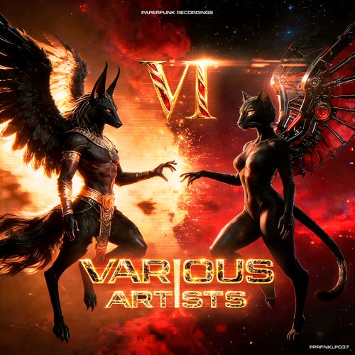 Various Artists Vol. 6