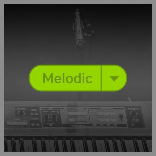 Top Tagged Tracks: Melodic