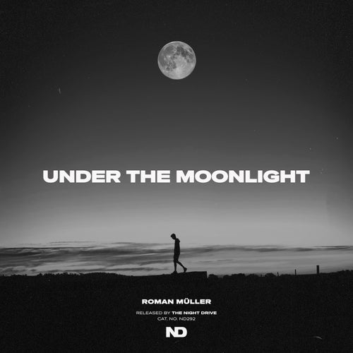 under the moonlight