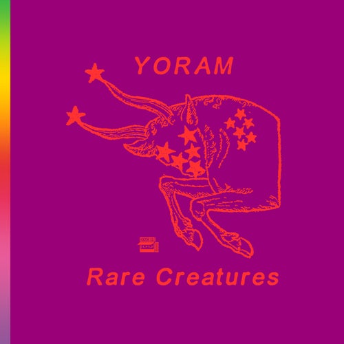 Rare Creatures