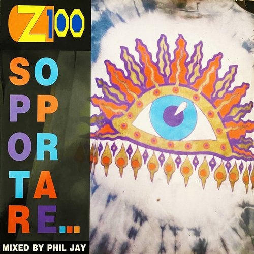 Z100 - Sopportare... (S.W.A.G. Mix) album artwork