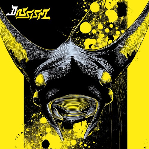 20 Years of Bassism • Down Periscope