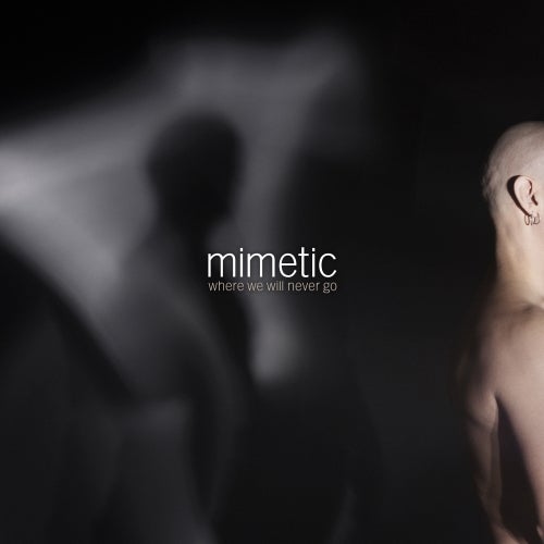 mimetic 2k13