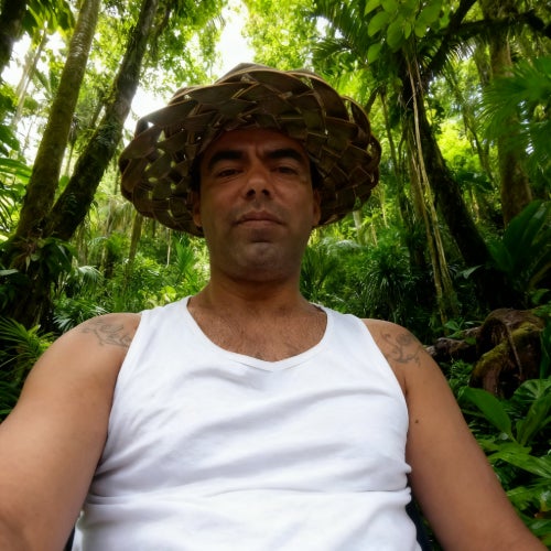 RAINFOREST