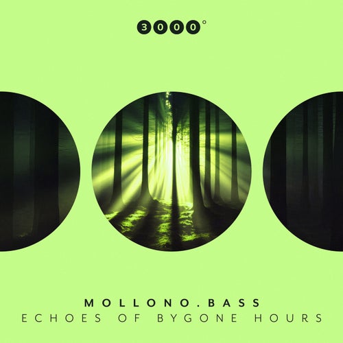 Echoes Of Bygone Hours