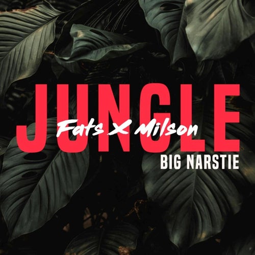 Jungle (feat. Imech)