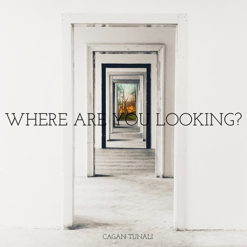 Where Are You Looking