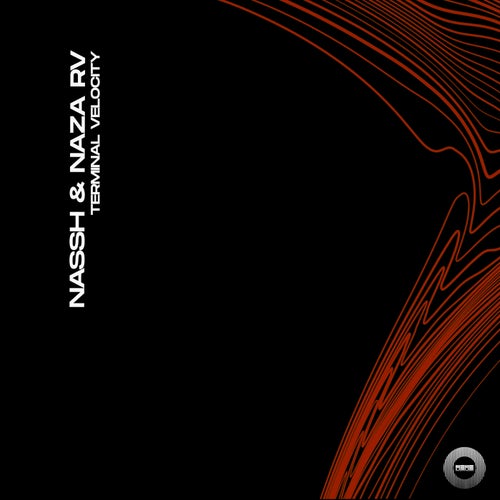 Terminal Velocity