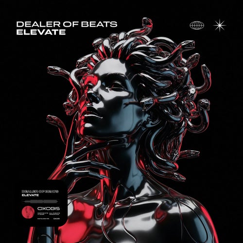 Elevate
