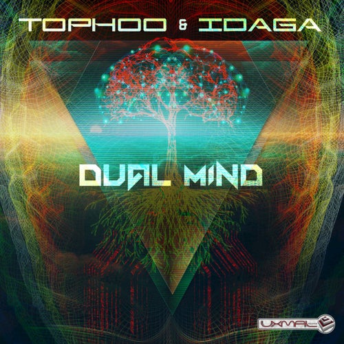 Dual Mind