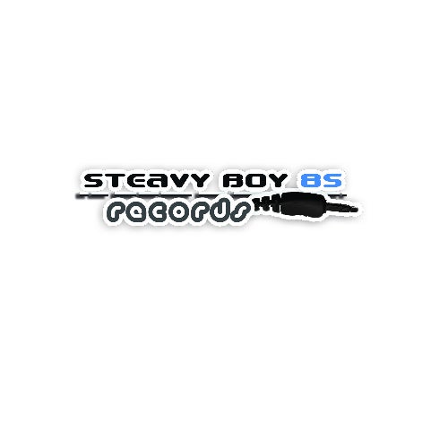 Steavy Boy 85 Records