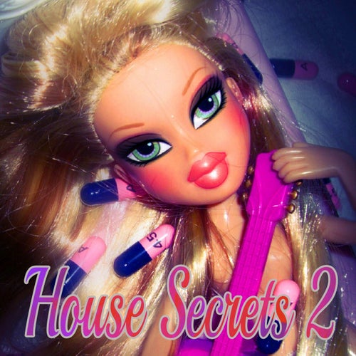 House Secrets, Vol. 2 (Best Selection of House Tracks)