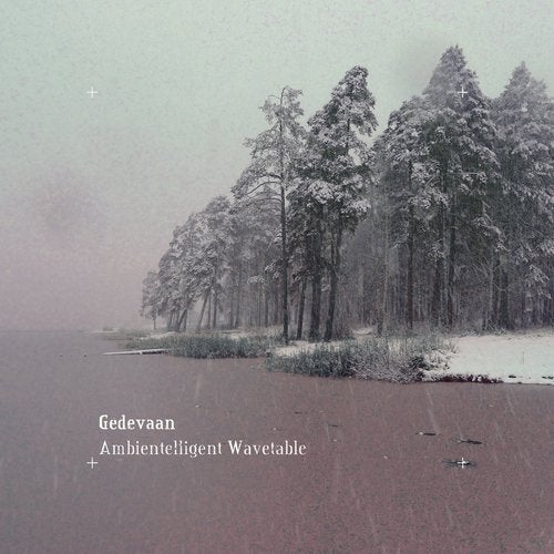 Cover art for Ambientelligent Wavetable