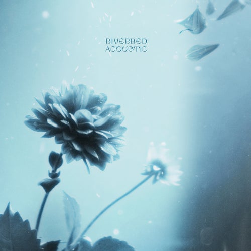 Riverbed (Acoustic)