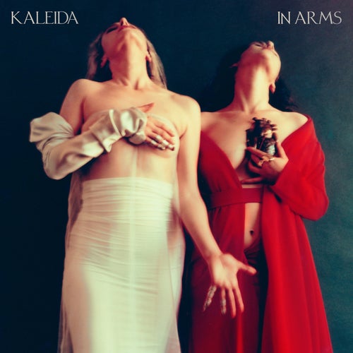 Cover art for In Arms