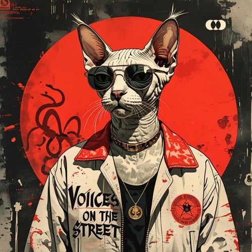 Voices on the Street
